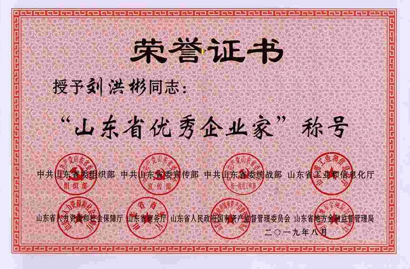 Outstanding entrepreneur in Shandong Province