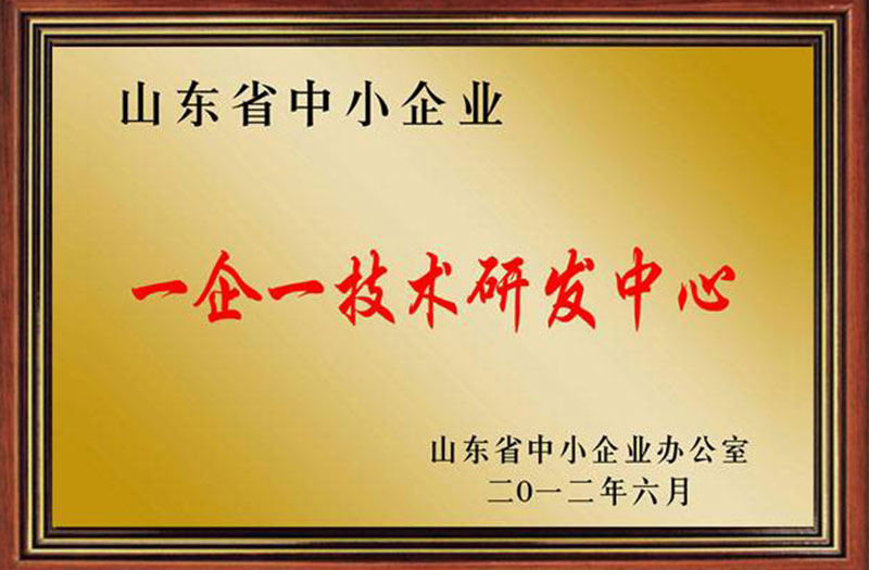 山东省一企一技术研发中心证明