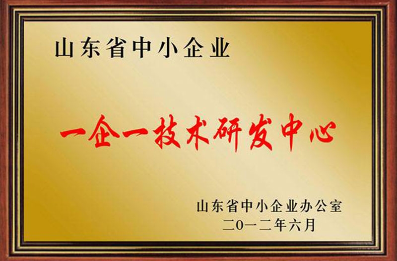 山东省一企一技术研发中心证明